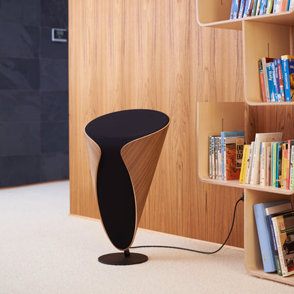 Meander All-in-One Lautsprecher - Preisgekröntes All-in-One Stereo-System