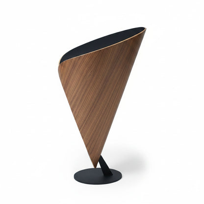 Meander All-in-One Lautsprecher - Preisgekröntes All-in-One Stereo-System